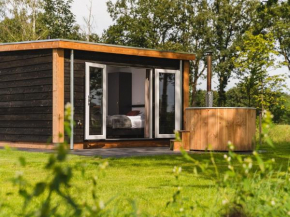 Wellness chalet with sauna, on the Holterberg